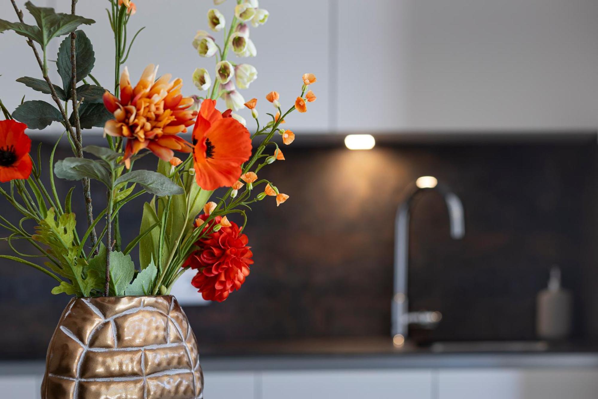 Bed & Breakfast Villa Botanica マラガ 部屋 写真